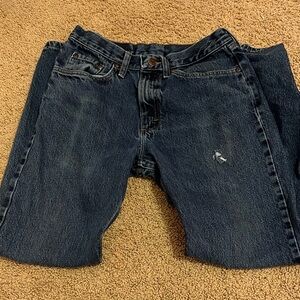 Wrangler Blue Denim Jeans